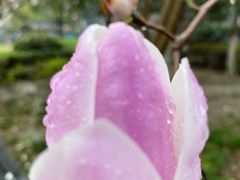 -过桥缘·过桥米线(大华虎城嘉年华店)