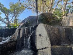 -胡里山炮台