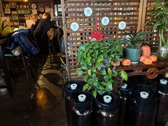 -雪梨精酿 Sydney Coast Brewing(沁春家园店)