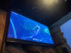 -华夏文旅西安度假区