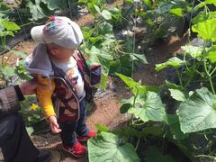 -万源龙顺度假庄园生态观光园