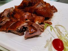 -新兴·金羊座·粤菜点心(乐峰店)