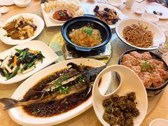 -百姓渔村(朝阳店)