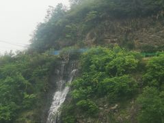 -杨家寨