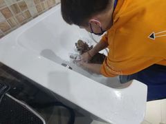 -汪小喵宠物·戴维斯乐芳希施宠馨宝皮毛调理洗护店