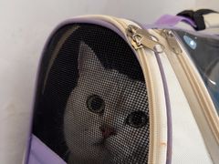 -宠颐生动物医院·心脏科·保险定点(锦阳分院)