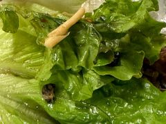 -百利鸽王(紫薇路店)