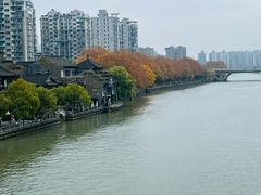 -运河游船(武林门码头)