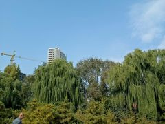 -青城公园