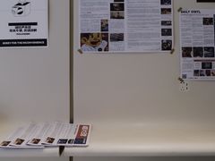-Seesaw Coffee(上生新所店)