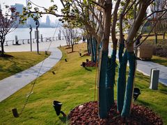 -北外滩滨江绿地