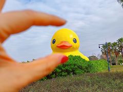 -深圳人才公园