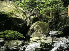 -藏龙百瀑风景区