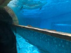 -波塞冬旅游度假区