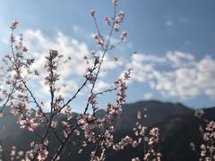 -碓臼峪自然风景区