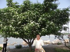 -石家庄市植物园
