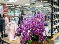 -百荣世贸商城