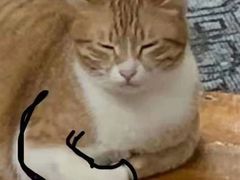 -蓝天射箭馆·专业射箭运动(诚丰广场店)