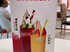 -Salud撒露欧洲冻酸奶(798艺术区店)