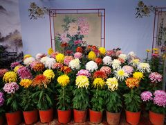 -北海公园