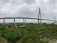 -芒洲湿地公园
