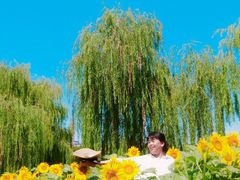 -廊坊文化艺术中心