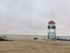 -碧海金沙