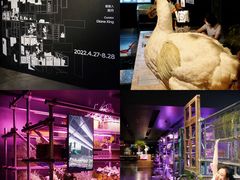 -现代汽车文化中心 Hyundai Motorstudio Beijing