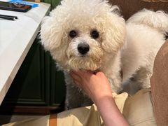 -神仙馆(衡山路店)