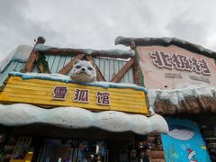 -海合安成都极地海洋公园