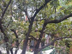 -吃货私房菜(丽江束河古镇店)