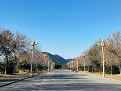 -清东陵