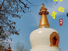 -护国法轮寺