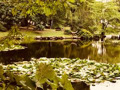 -北海道厅旧本厅舍(旧本庁舎)