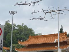 -深圳仙湖植物园