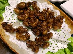 -浩家苑菜馆(汉口路店)