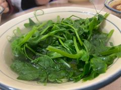 -珍味马边曹五抄手