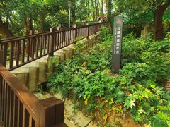 -马王堆汉墓遗址