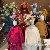 全球旗舰店[得意]北京首家优衣库花店🌹[礼花]绿啦❗️