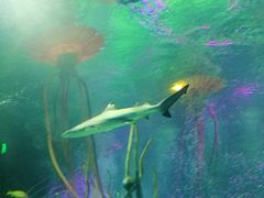 -沈阳海洋探索中心