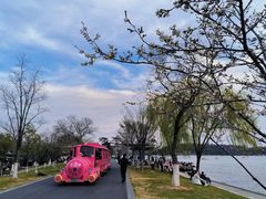 -玄武湖景区-情侣园游乐场