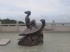 -广东惠东海龟国家级自然保护区