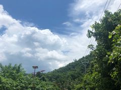 -海南热带雨林国家公园吊罗山景区