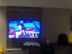 -汉庭优佳(成都一品天下蜀汉路东地铁站店)