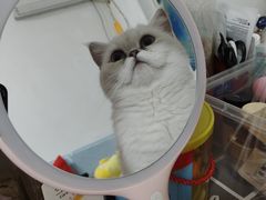 -联合动物医院(光谷诊疗中心)