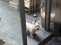 -欧邑咖啡小站 HLab Coffee