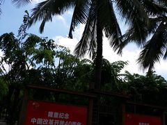 -万绿园