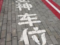 -黎坪国家森林公园