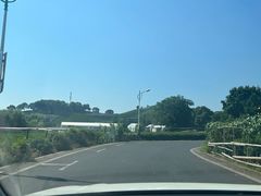 -龙坞茶村