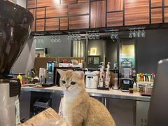 -咖法森林·咖啡  酒吧(天河店)